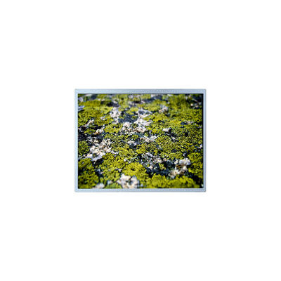 Buen precio 1024*768 12.1 pulgadas PD121XL9 4S6P WLED 60Hz Pantalla LCD en línea