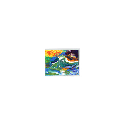 Buen precio Pequeño monitor de panel LCD de 800*480 AM-800480N3TZQW-50H de 5,0 pulgadas 3S6P en línea