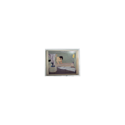 Buen precio 800*480 5.0 pulgadas AM-800480NATZQW-00H Pantalla de pantalla LCD en línea