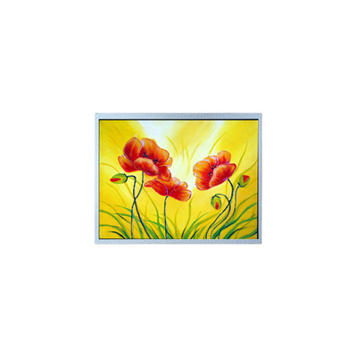 Buen precio AM-1280800W2TZQW-00H Pantalla LCD de 10,1 pulgadas para alta luminosidad al aire libre en línea