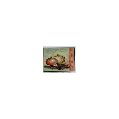 Buen precio Monitor de pantalla LCD de 5,3 pulgadas original DMF682AN-EW 256*128 en línea