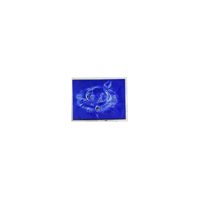 Buen precio Original 640*480 DMF50260NFU-FW-21 9.4 pulgadas 70Hz panel de pantalla LCD en línea