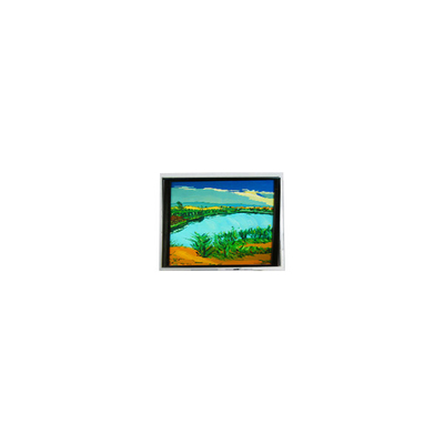 Buen precio Display LCD de 5,2 pulgadas de 130 cd/m2 en línea
