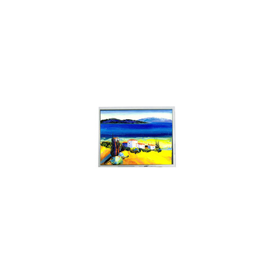Buen precio Venta caliente 5.4 pulgadas DMF50773NF-FW 240 * 128 22 pines pantalla LCD en línea