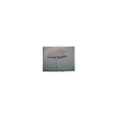 Buen precio 9.4 pulgadas DMF-51043NFU-FW 640 * 480 pantalla LCD Panel en línea