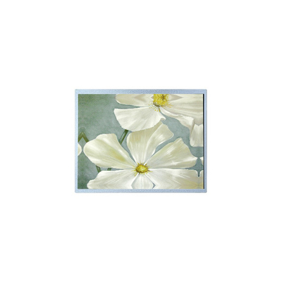 Buen precio F-51851GNFQJ-LW-AAN 240*64 5.2 pulgadas 72 pines Panel de pantalla LCD en línea