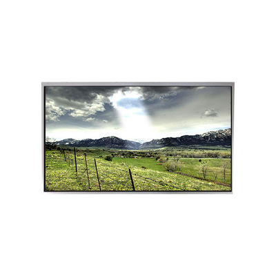 Buen precio P1010WXF1MA01 Pantalla LCD de 10,1 pulgadas para exteriores de alto brillo en línea