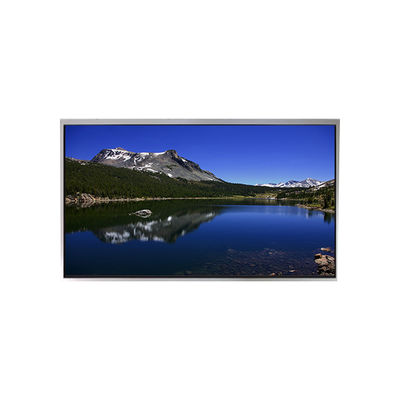 Buen precio Nueva pantalla de 10.1 pulgadas P1010WXF1MB10 500 cd/m2 para TIANMA en línea