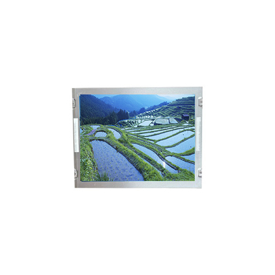 Buen precio nueva pantalla LCD de 12,1 pulgadas P1210XGF1MB00 para TIANMA en línea