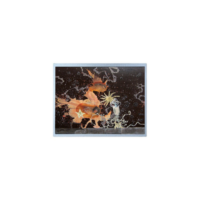 Buen precio 12.1 pulgadas P1210WXF1MA00 1280*800 Panel LCD TFT WLED en línea