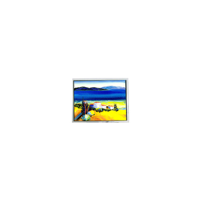 Buen precio HSD050JDW2-C10-0220 800*480 Pantalla LCD de 5,0 pulgadas en línea