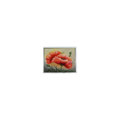 Buen precio nuevo módulo de pantalla LCD de 7.0 pulgadas ETM070001BDHA 800*480 PCAP en línea