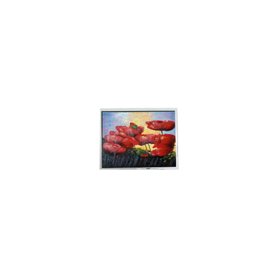 Buen precio 5.7 pulgadas 320*240 EW50352BCW panel LCD de pantalla LCD en línea