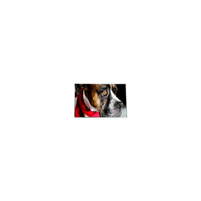 Buen precio COM35H3P58ULC Pantalla LCD de 3,5 pulgadas 320*240 de 60 Hz en línea