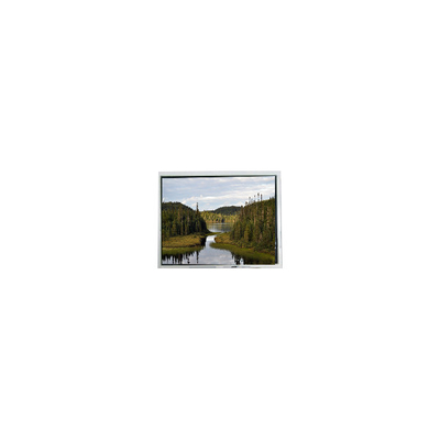 Buen precio 2.0 pulgadas pantalla LCD 20QVF0H monitor LCD para portátil en línea
