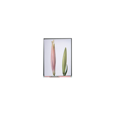 Buen precio C080SWW3-0 Display de pantalla TFT LCD de 8,0 pulgadas para tabletas en línea