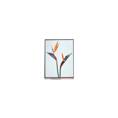 Buen precio 9.0 pulgadas C090NWP1 R0 800*480 Panel de pantalla LCD TFT en línea