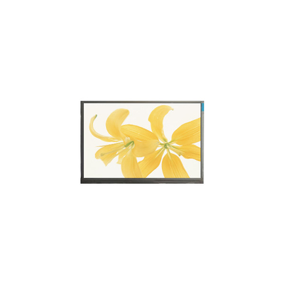 Buen precio 10Monitoreo de panel LCD de 4 pulgadas LPM104GNX1 R1 TFT LVDS 262K en línea