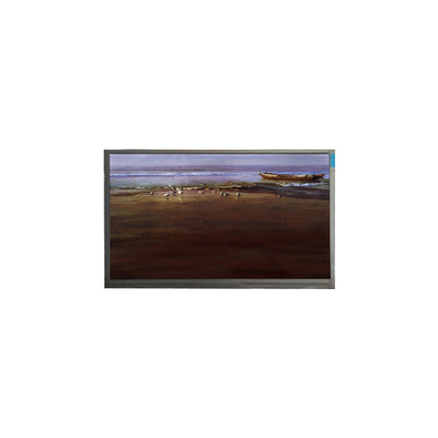Buen precio en stock 1024*600 10,1 pulgadas P101GWT9 R4 TFT pantalla de panel LCD en línea
