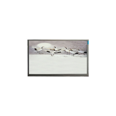 Buen precio P101GWWF R2 10.1 pulgadas 1280*800 Pantalla LCD para Pad en línea