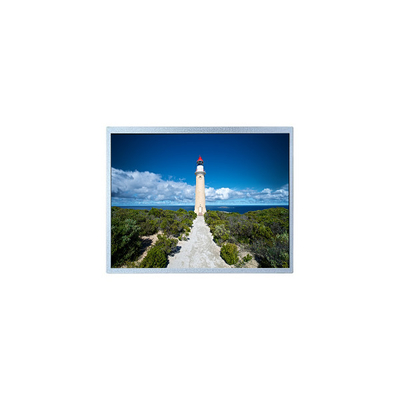 Buen precio 240*234 FG010600ANCWA-01 Pantalla LCD de 1,6 pulgadas para cámara digital fija en línea