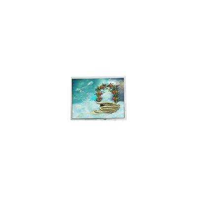 Buen precio TFT1N5918 6.9 pulgadas 800*480 LVDS pantalla LCD Monitor en línea