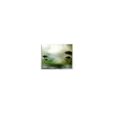 Buen precio 10.4 pulgadas TFT1P1799-E 960*1280 pantalla LCD para automóviles en línea