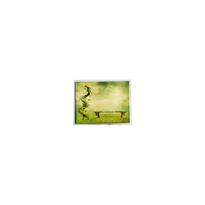 Buen precio original de 7,0 pulgadas TFT7D0179 600*1024 pantalla LCD de 16,7M pantalla LCD en línea