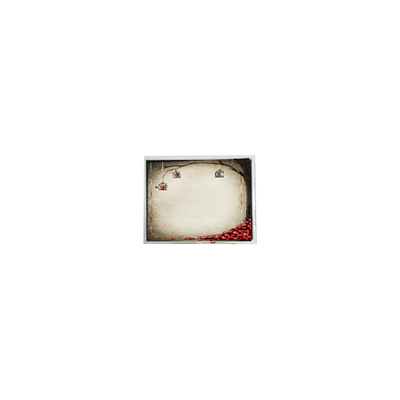 Buen precio TFT9D6672 piezas de módulo de pantalla LCD de 6,9 pulgadas 800*480 600:1 en línea