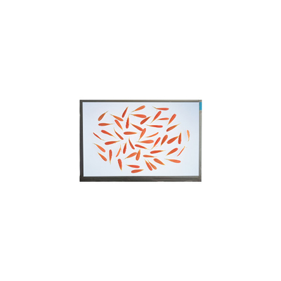 Buen precio nuevo 6.9 pulgadas M069AWA1 R0 1280*720 pantalla LCD panel LCD en línea