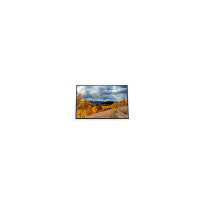 Buen precio C080VAN02.6 Panel LCD de 8,0 pulgadas 800*480 para automóviles en línea