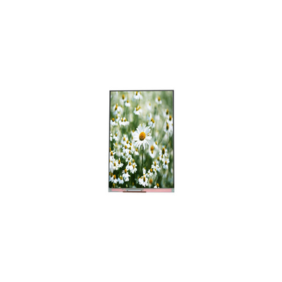 Buen precio 1080*1920 Panel de pantalla LCD de 5,5 pulgadas PP055IA-03N en línea
