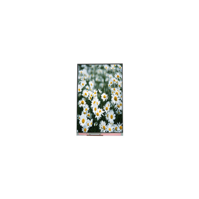 Buen precio Display de pantalla LCD de 5,5 pulgadas de 1440*2560 PP055IA-09A en línea