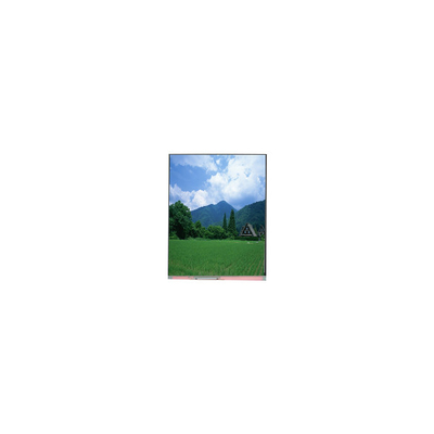 Buen precio PP057IC-01A 5,7 pulgadas 1080*1920 Pantalla LCD Pantalla LCD en línea
