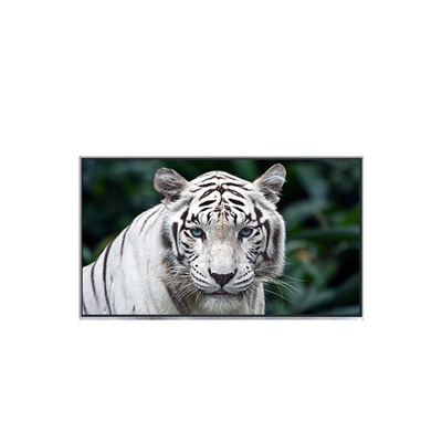 Buen precio B121EW05 V2 12,1 pulgadas nueva llegada pantalla de LCD para portátil en línea