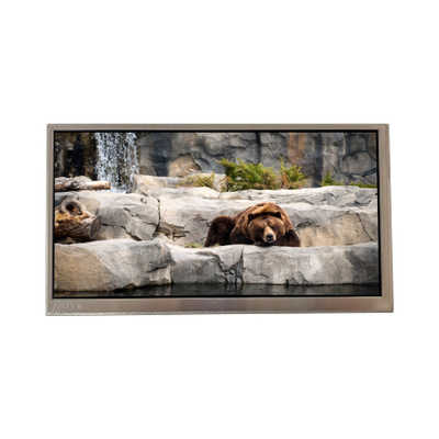Buen precio C080VAN02.3 Pantalla LCD WLED de 8,0 pulgadas en línea