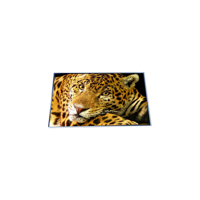 Buen precio P500QVF02.0 Pantalla LCD 4K de 50,0 pulgadas en línea