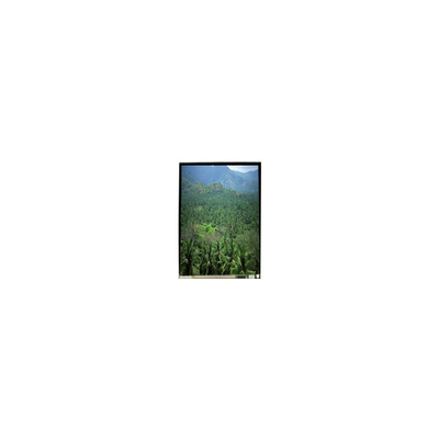 Buen precio El panel de pantalla LCD de 5,5 pulgadas 1920*3664 TFT en línea