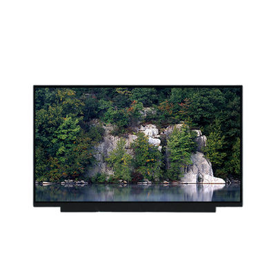 Buen precio PV173FHM-N80 Pantalla LCD de 17,3 pulgadas 1080p en línea