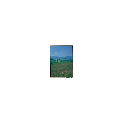 Buen precio LS052T3SX03A Pantalla LCD de 5,2 pulgadas 1080 * 1920 FHD para teléfono móvil en línea
