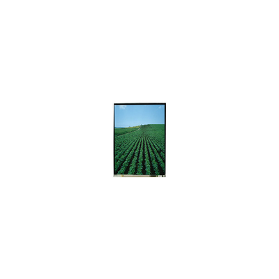 Buen precio 5.0 pulgadas LS050T3SX09 1080 * 1920 pantalla LCD para teléfono móvil en línea