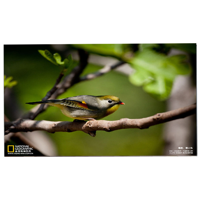 Buen precio 24.0 pulgadas 1920*1200 M240UAN02.1 Pantalla LCD de la célula en línea