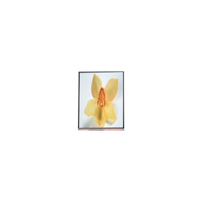 Buen precio C050SWAN-0 5,0 pulgadas 720 * 1280 panel de pantalla LCD en línea