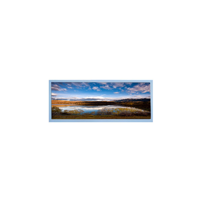 Buen precio M102AWF2 R3 pantalla LCD de 10,3 pulgadas panel TFT LCD para pantallas de automóviles en línea