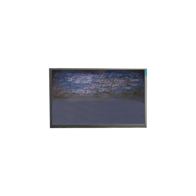 Buen precio U055SWRA-1 panel de pantalla LCD de 5,5 pulgadas 720*1440 módulo de visualización LCD en línea