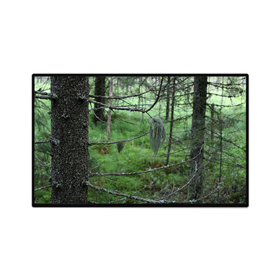 Buen precio TV101WUB-NW1-D9P0 10.1 pulgadas 1200 * 1920 Pantalla LCD en línea