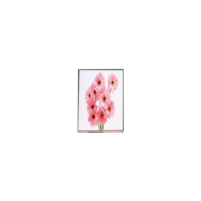 Buen precio 6.1 pulgadas C061SWR3-0 720 * 1560 pantalla LCD para teléfono móvil en línea