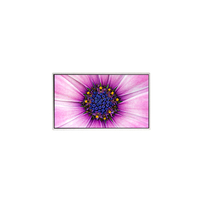 Buen precio 7.0 pulgadas TT070WVM-NW1 800*480 Pantalla LCD para electrodomésticos en línea