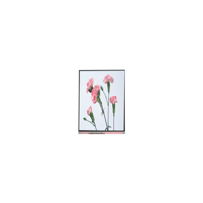 Buen precio C060SWA3-3 6.0 pulgadas 720 * 1280 pantalla LCD para teléfono en línea
