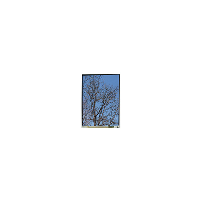 Buen precio 5.5 pulgadas LS055T1SX29 1080 * 1920 FHD panel de pantalla LCD en línea